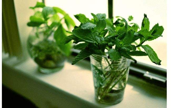 科普-除甲醛的誤區以及正確的方法