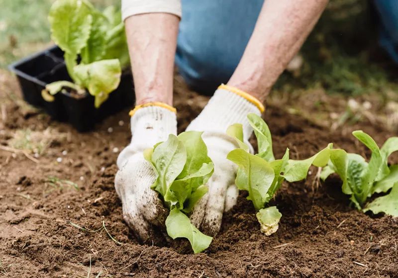 關注  第三次全國土壤普查開始了！第三方檢測項目、方法、實驗室儀器配置一覽！