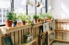 這些生活中含有的甲醛，你了解嗎？甲醛治理要